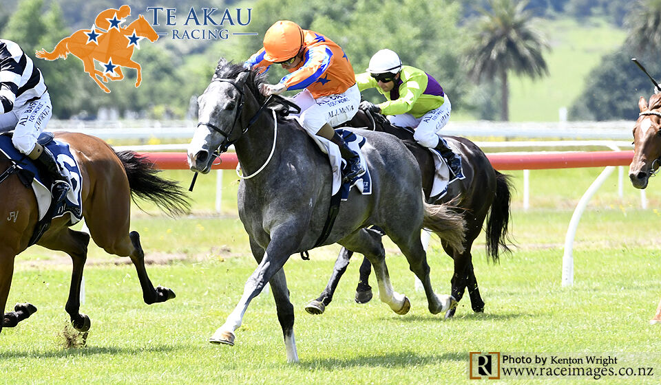 Te Akau Te Rapa Preview