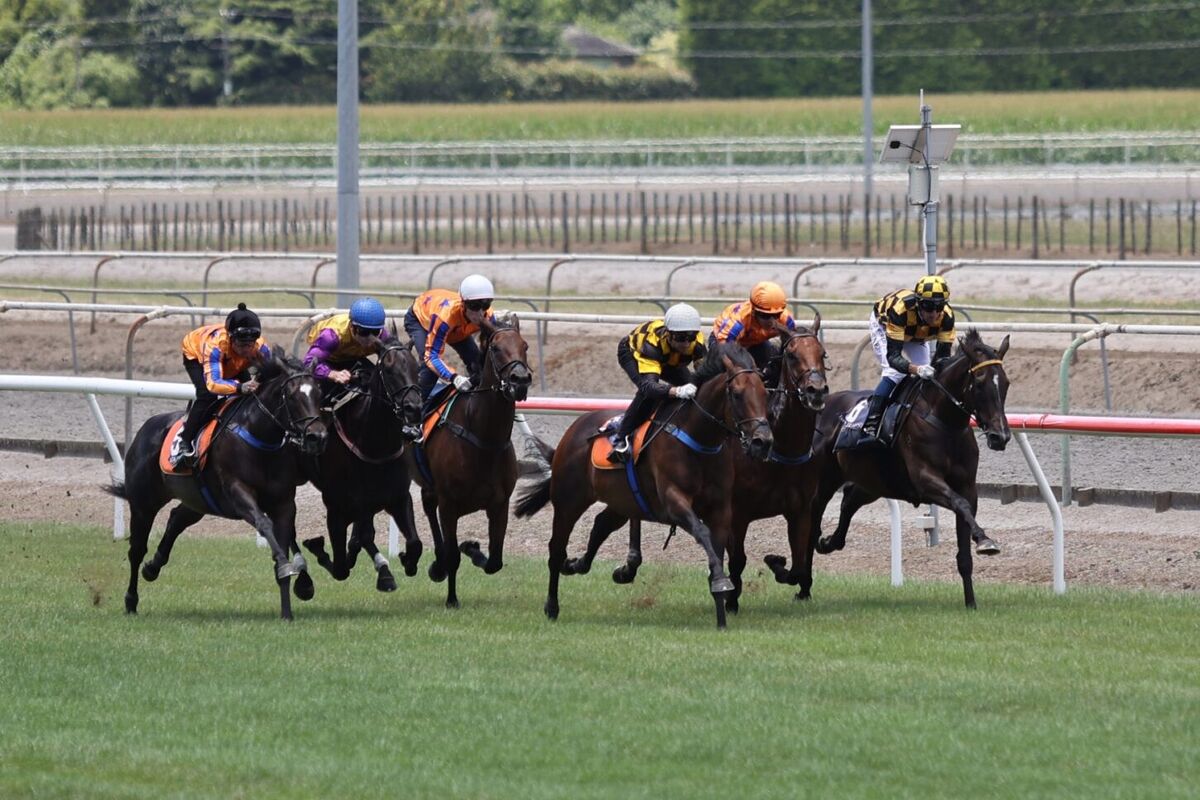 Group Trials at Matamata