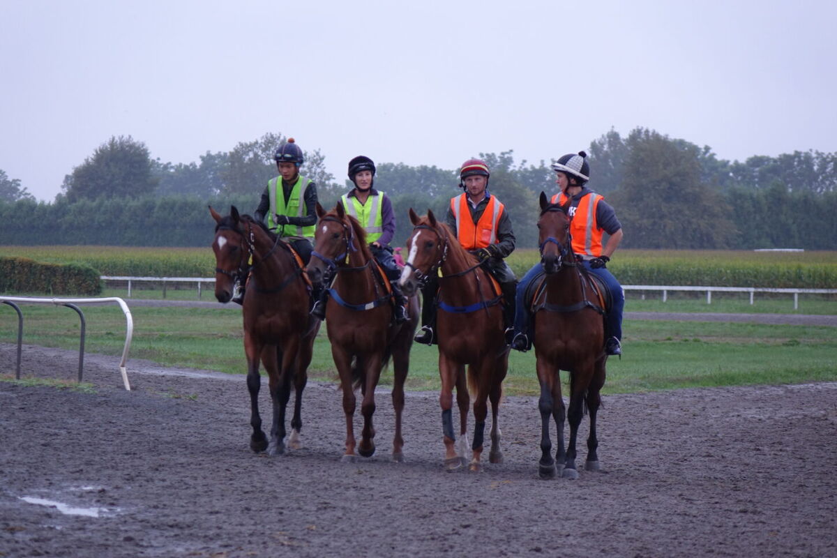 Te Akau Thursday Trackwork