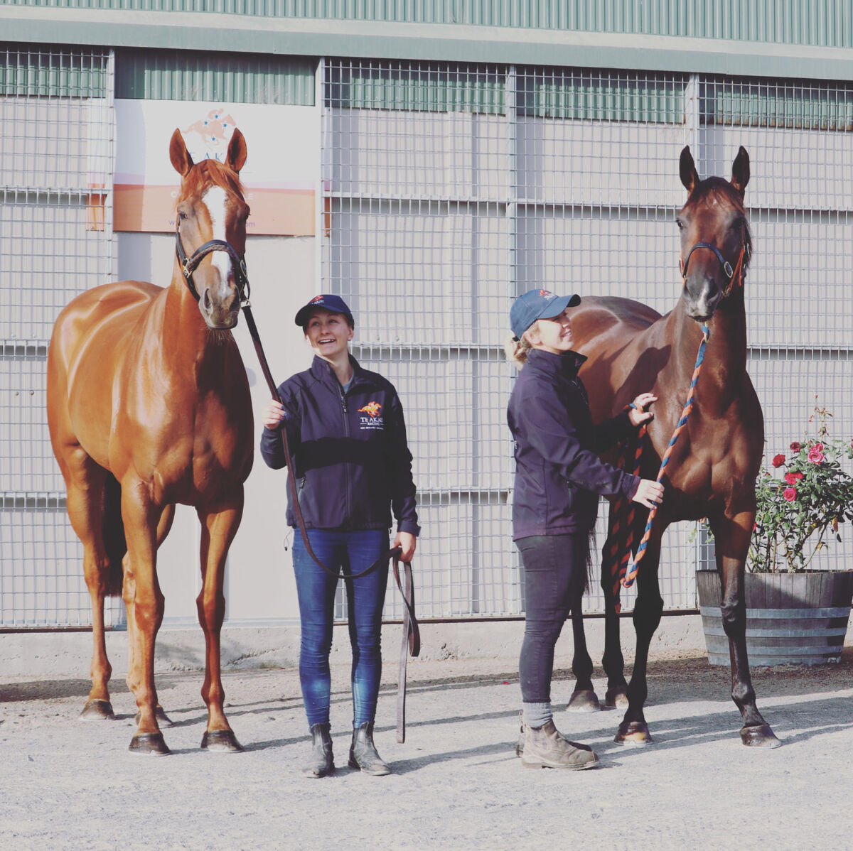 Te Akau Te Rapa Saturday Preview