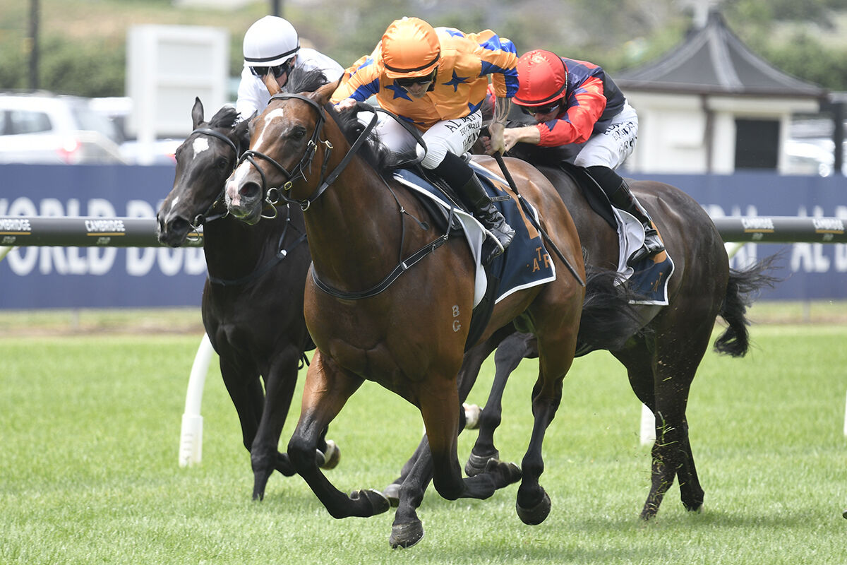 Saturday Double - Return To Conquer Stakes' Winner Again