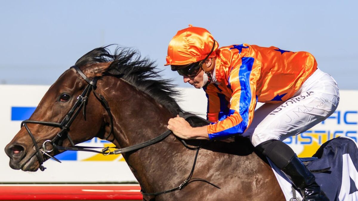 Entrivere Excellent in Sydney Group 2