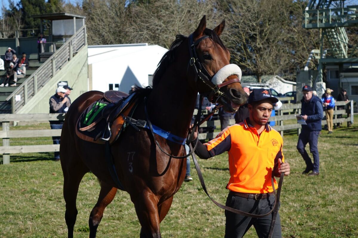 Close Up - Te Teko Trials