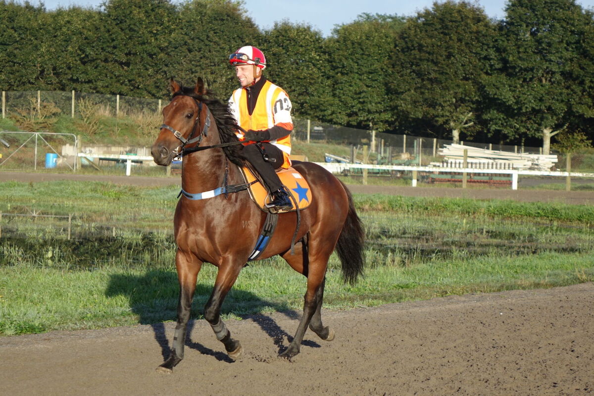 Te Akau Weekend Trackwork