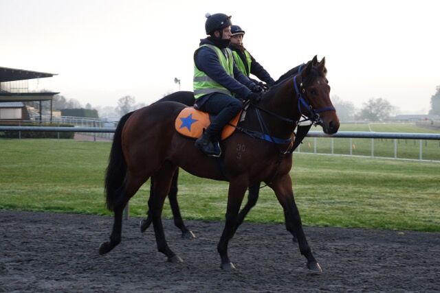 Te Akau Midweek Trackwork