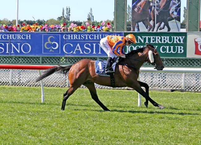 Our Fabulous 'Famous' One