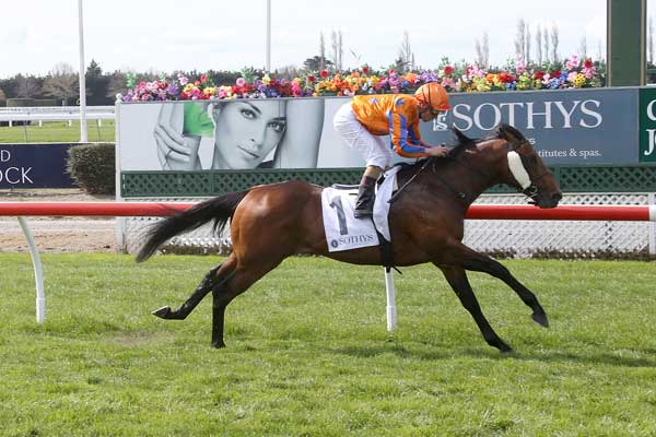 Fame Game in Guineas?