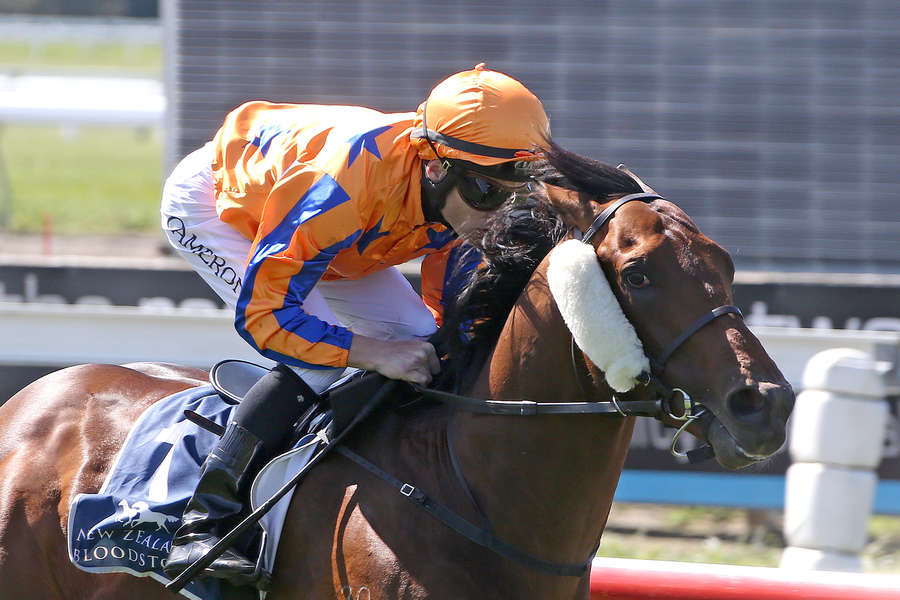 Hall of Fame - New Season Beckons