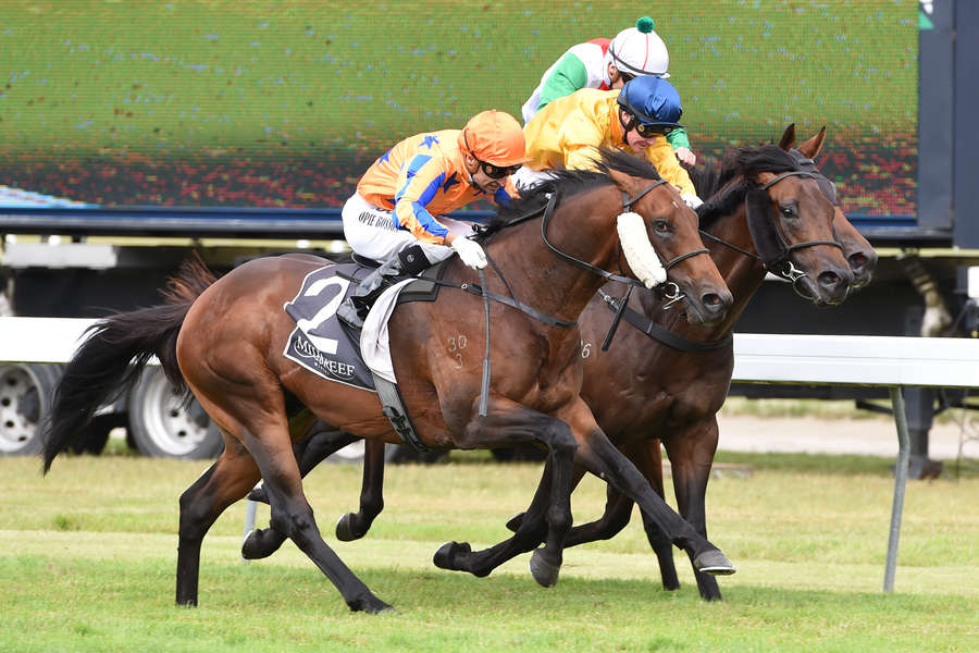 Hall of Fame faces First Distance Test