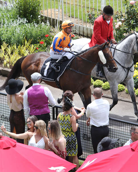 Breeders' Stakes Brisbane Springboard