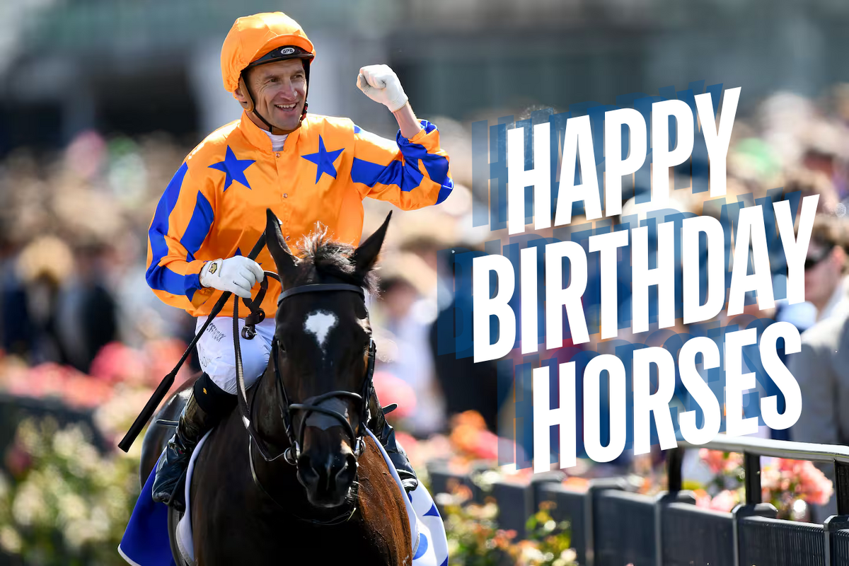 Happy Birthday To Our Horses!