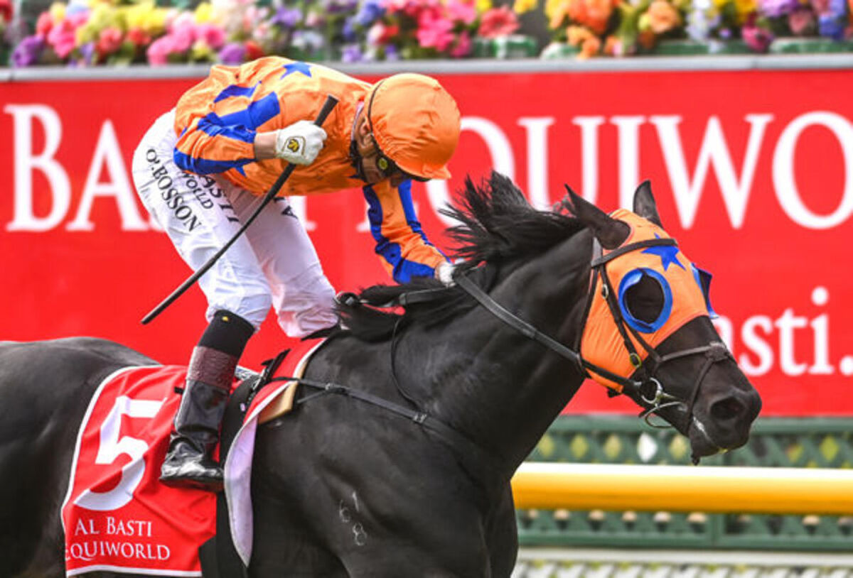 Vale Savabeel - A Special Connection
