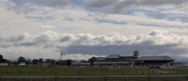 Te Akau NZ Hastings Preview