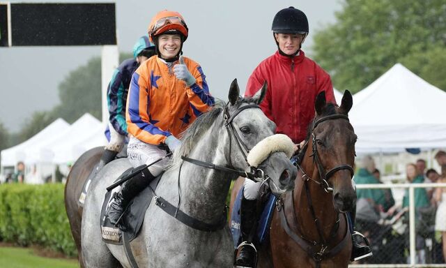 Te Akau Trans Tasman Friday Preview