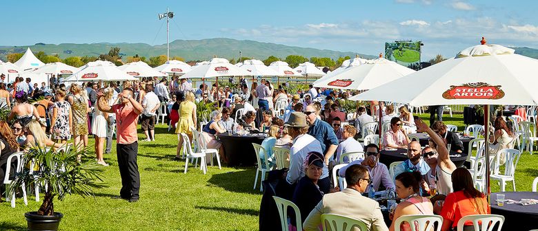 Te Akau Monday Update