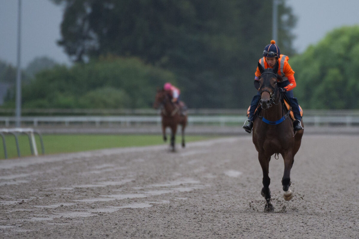 Te Akau Thursday Trackwork