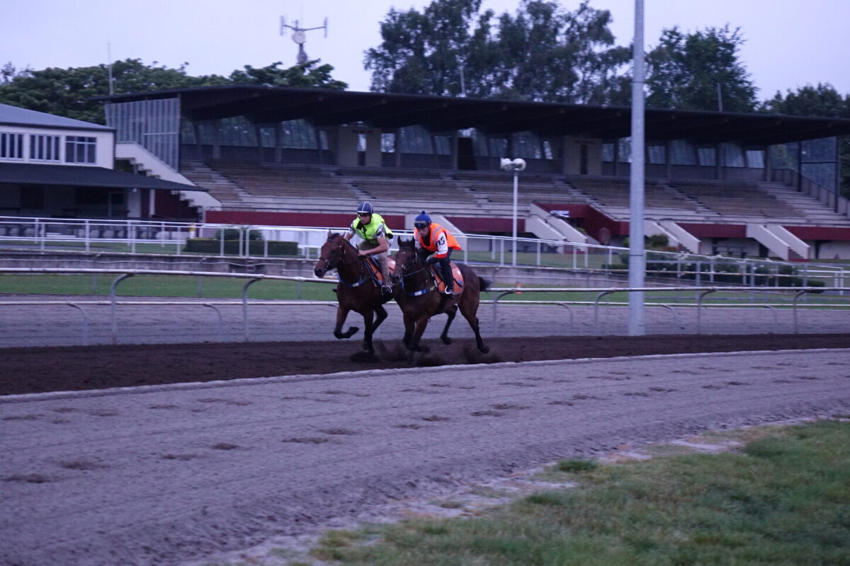 Te Akau Tuesday Trackwork