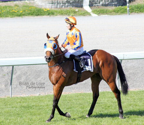 Te Akau Colts Begin Derby Preparation