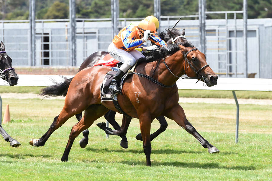 Te Akau's No 7 in Ashburton?