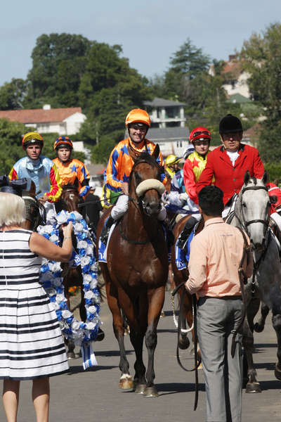 Heroic Valour Yearlings Set to Impress