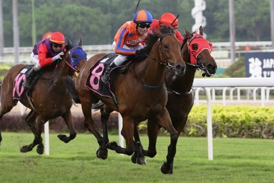 Champion Trainer off to Promising Start