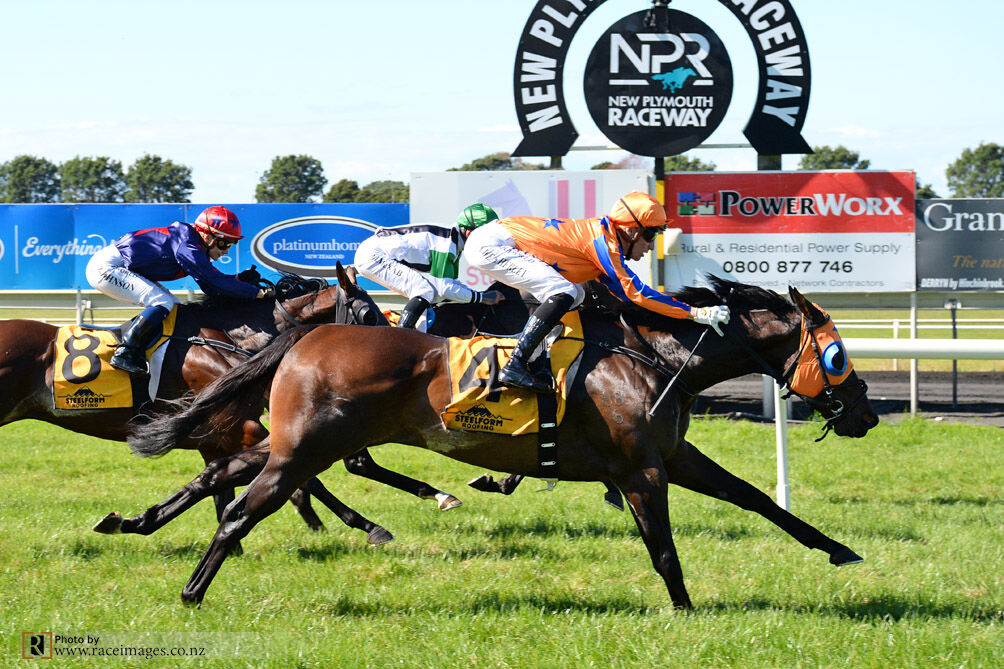 Te Akau Taranaki Friday Preview
