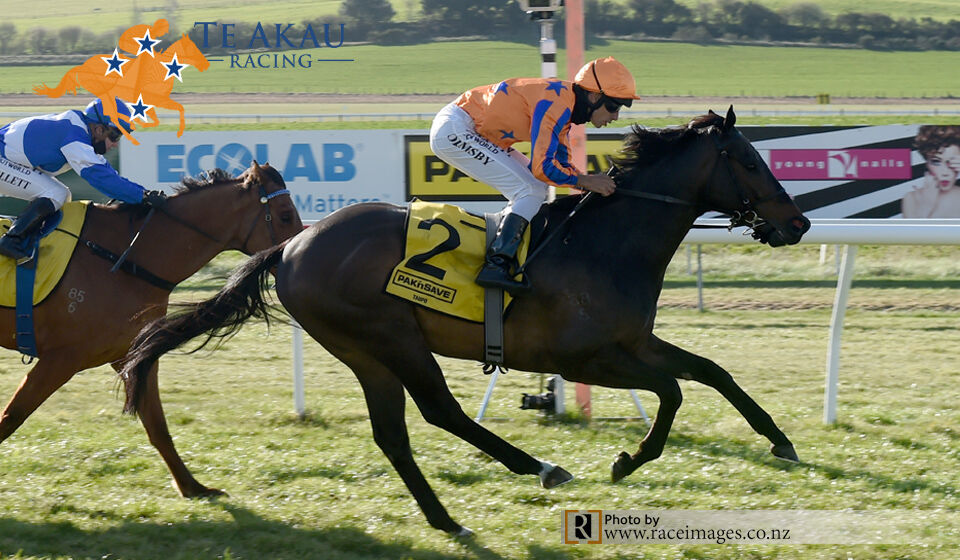 Te Akau Taupo Midweek Preview