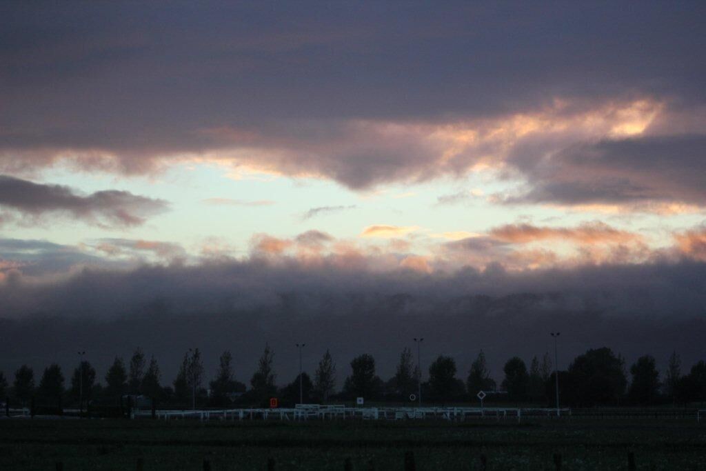Te Akau Tuesday Trackwork