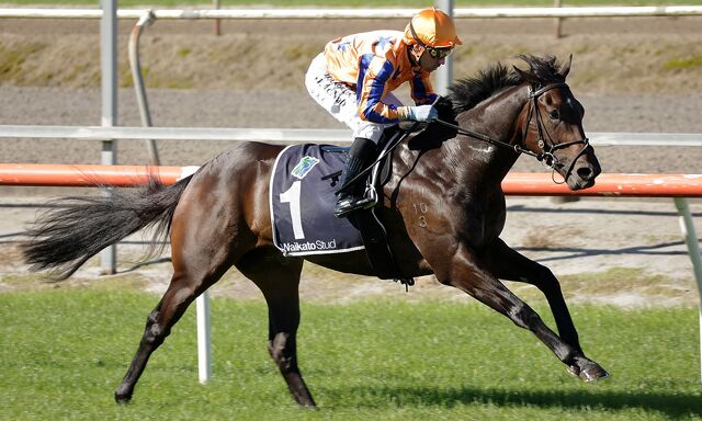 Te Akau Otaki Friday Preview