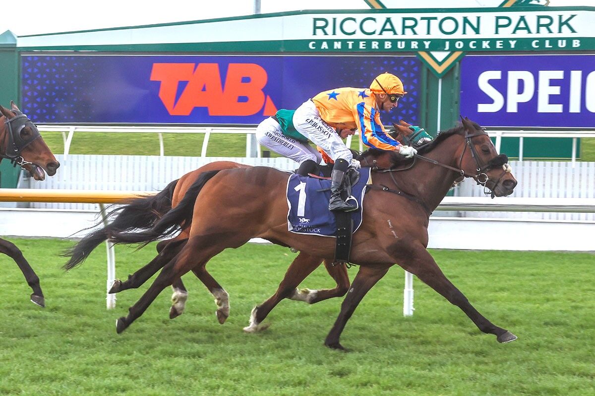 3 Win Saturday - Hooray For Harry Indeed
