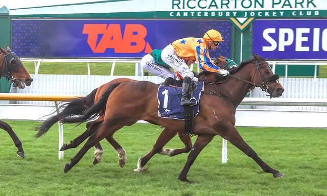 Te Akau North South Saturday Preview