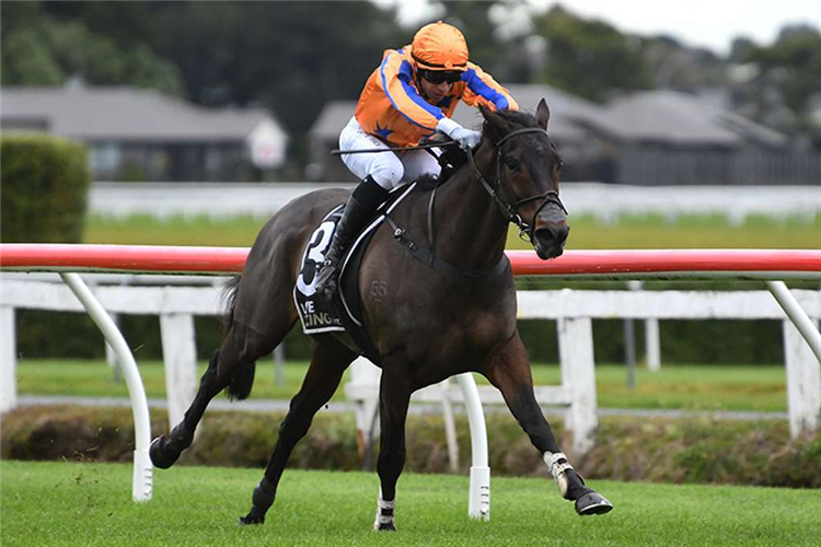 Te Akau Trans Tasman Midweek Preview