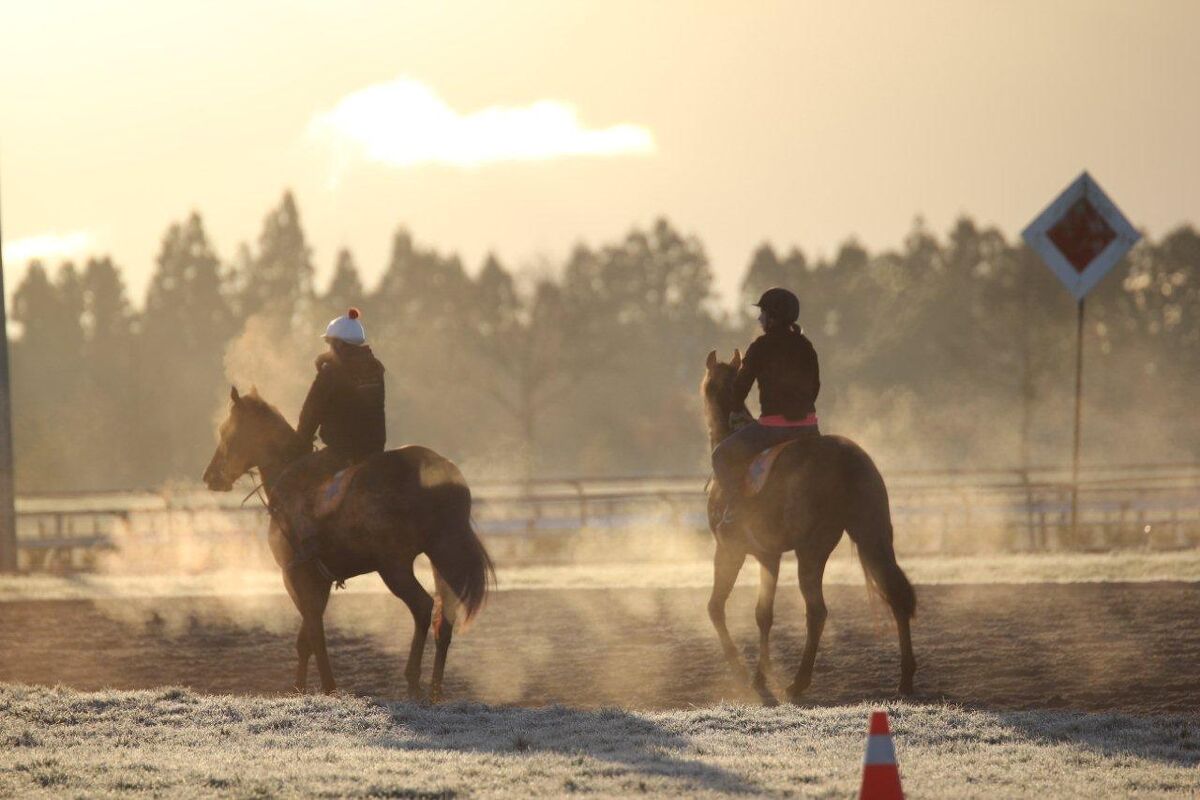 Te Akau Saturday Trackwork