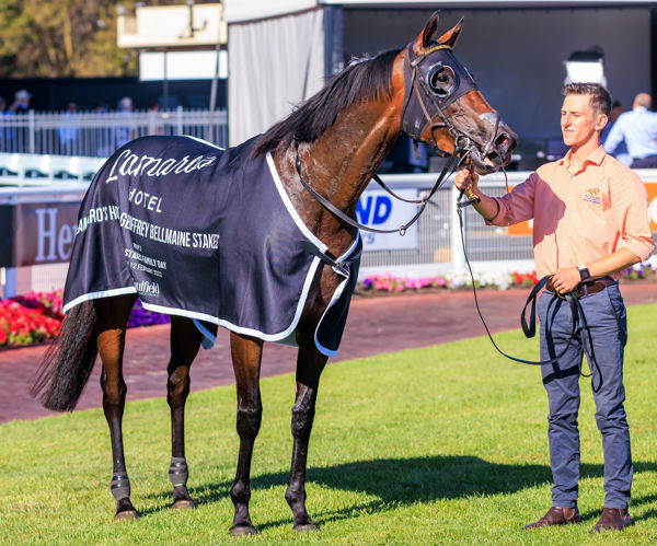 Four Win Saturday - Win No.4 Probabeel Grp 3 Perfection