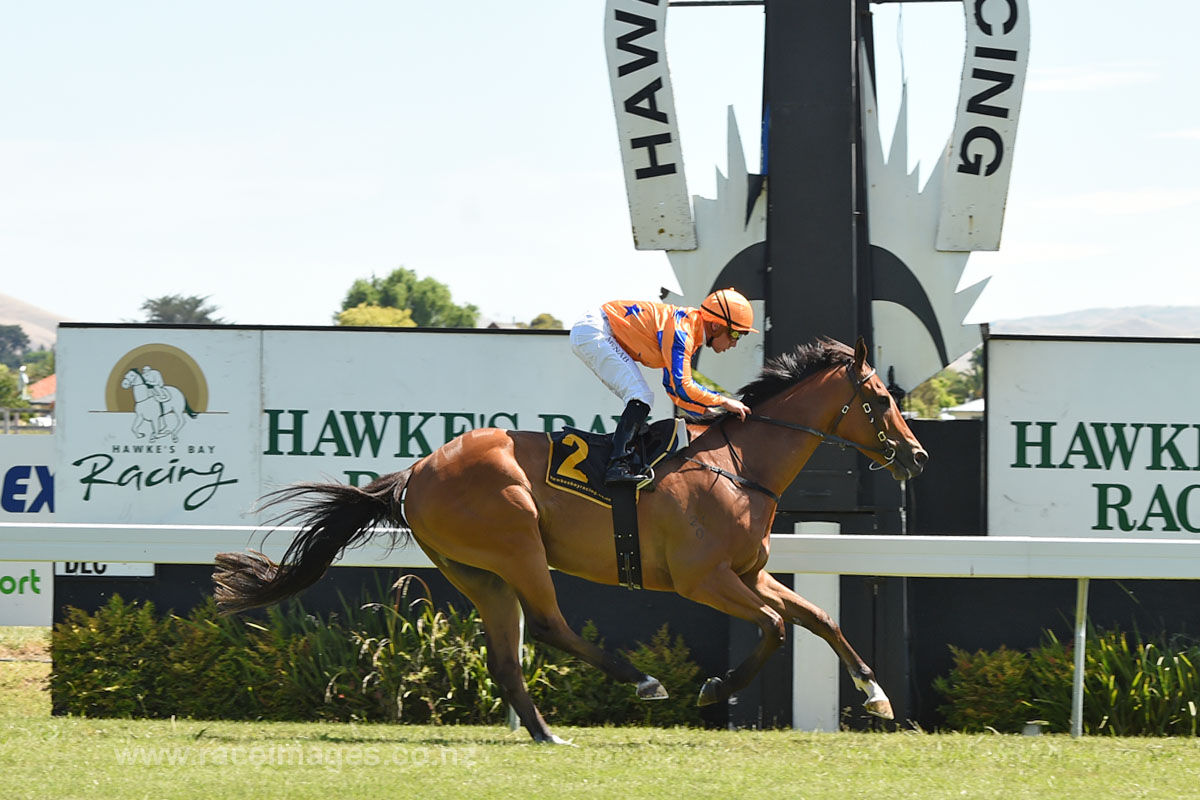 Te Akau NZ Winning Treble