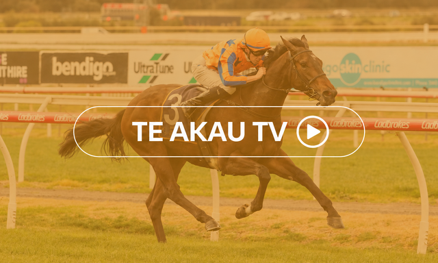 Te Akau TV - Melbourne Cup Week Preview 