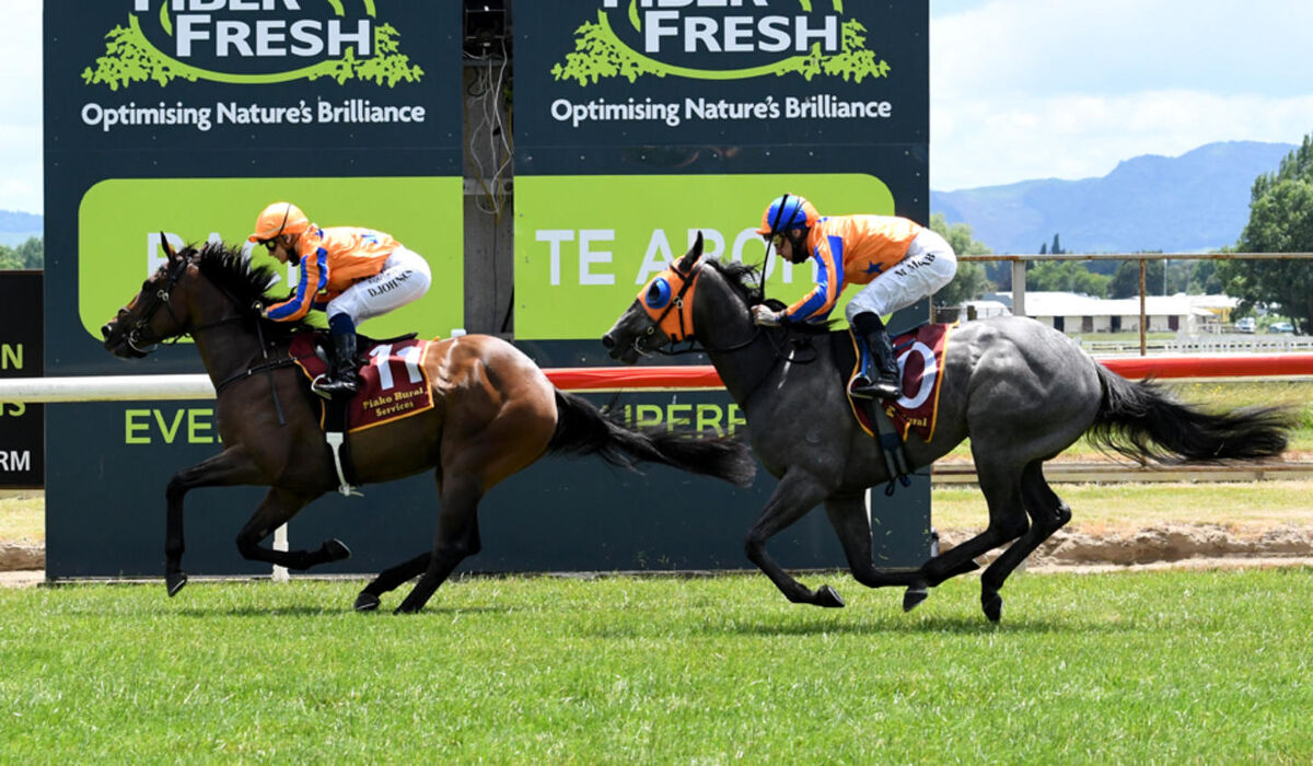 'Tis The Group 1 Season Te Akau TV Weeknd Preview