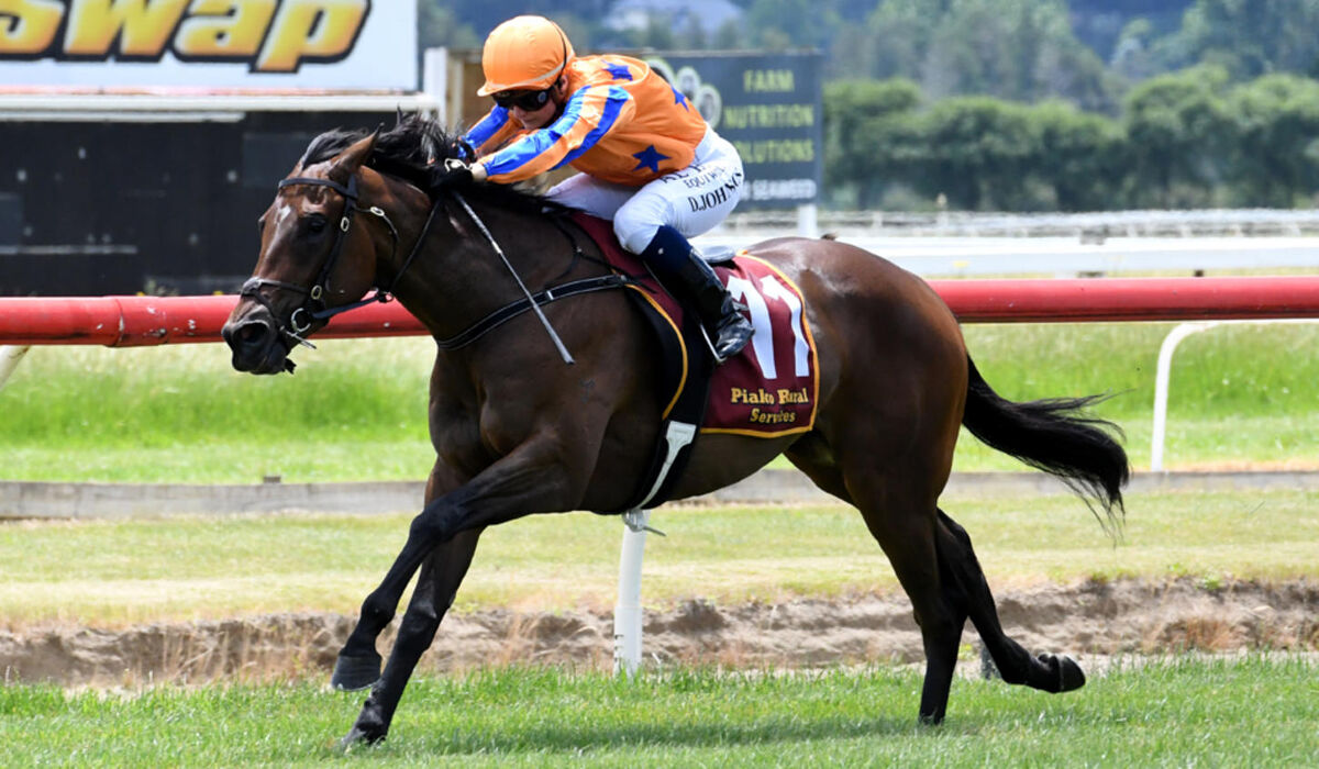 Te Akau Trans Tasman ANZAC Day Preview