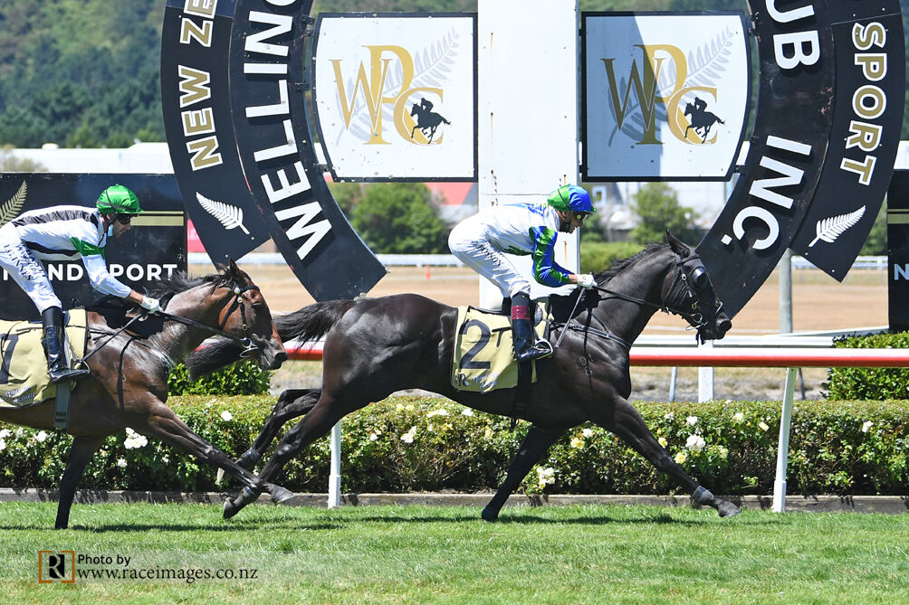 Te Akau TV - Weekend Preview