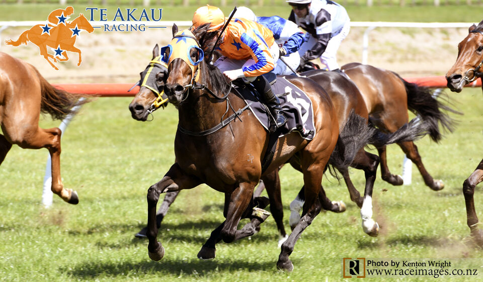 Te Akau Tauranga & Warwick Farm Midweek Preview