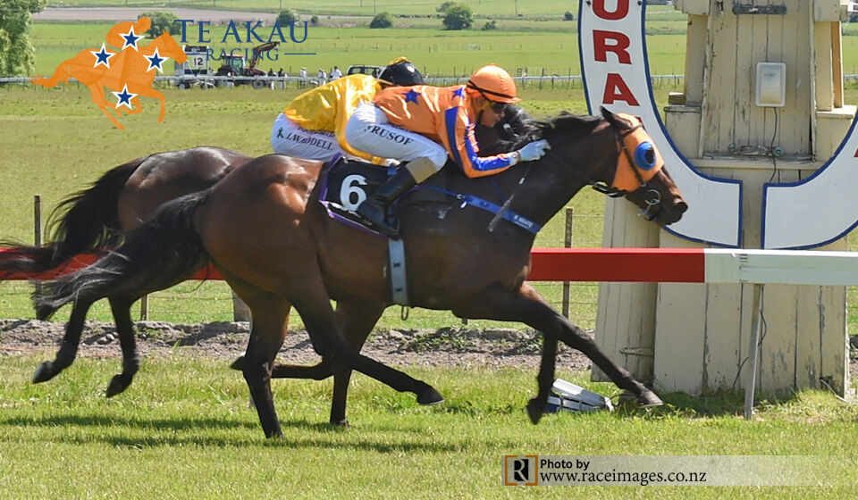 Te Akau Waipukurau Sunday Preview