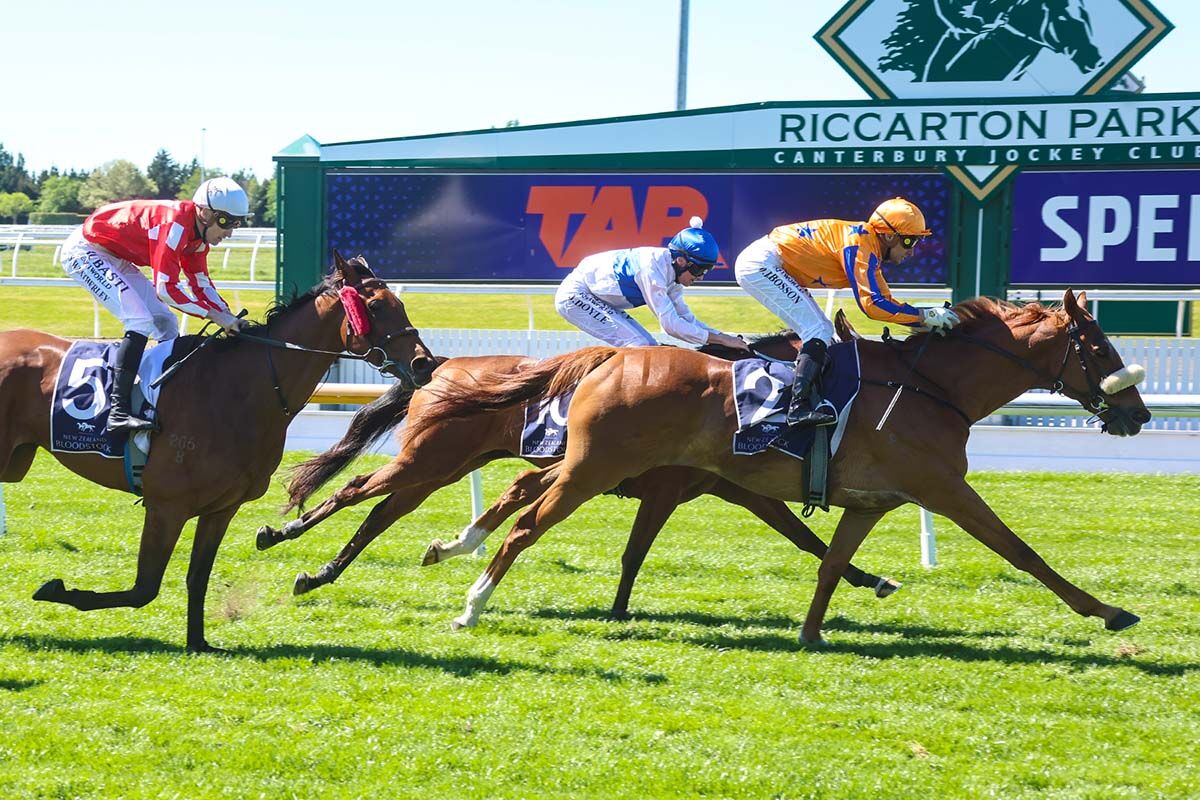 6 Win Saturday - Rascal Romps In
