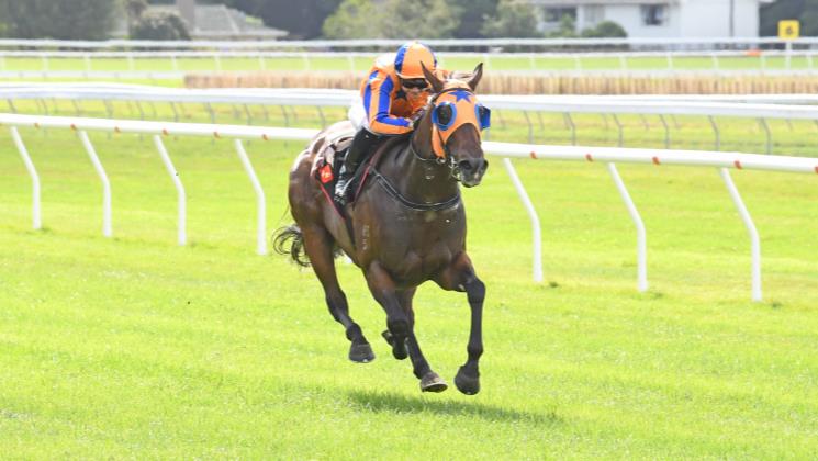 Johnson reunites with Avantage in Foxbridge