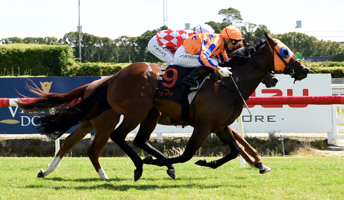 Image of You Shines at Te Rapa