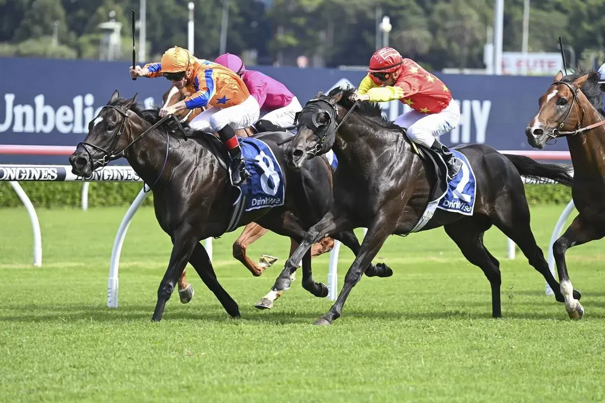 Te Akau Moonee Valley Friday Preview