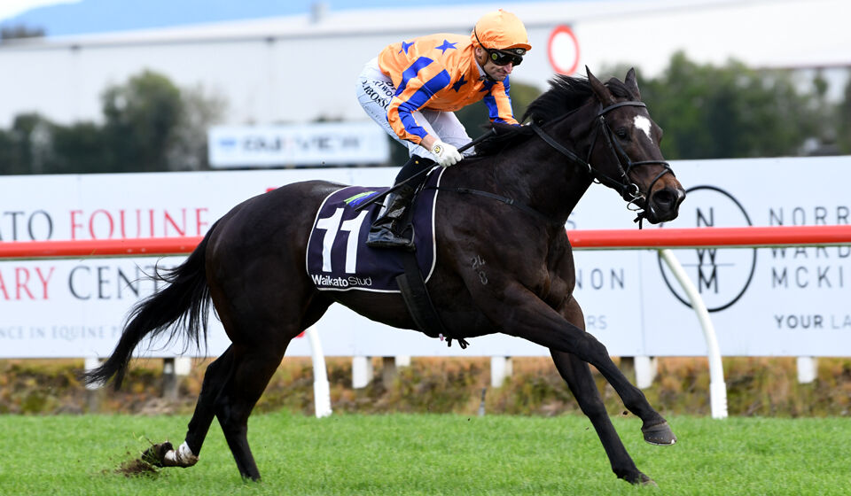 Te Akau Te Rapa New Year's Day Preview