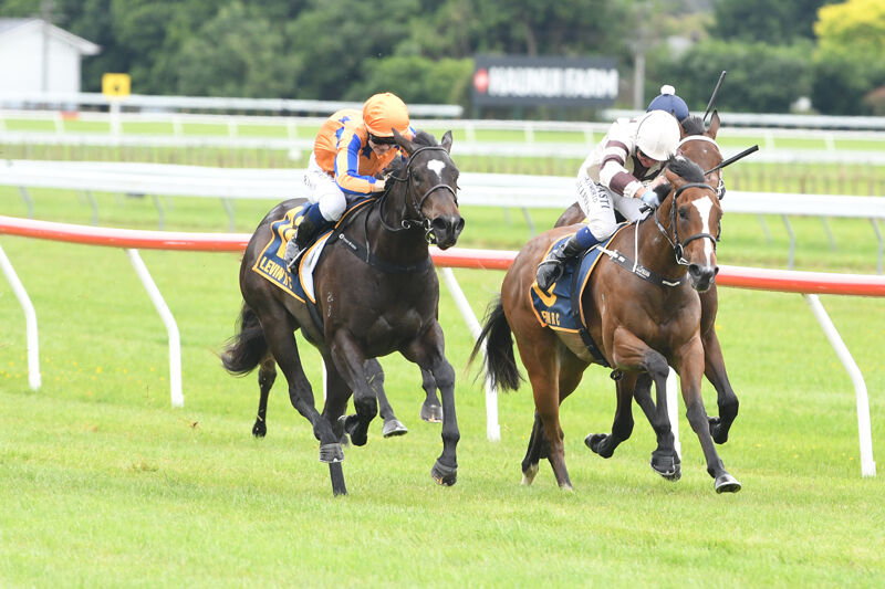 Imperatriz Impressive on Debut