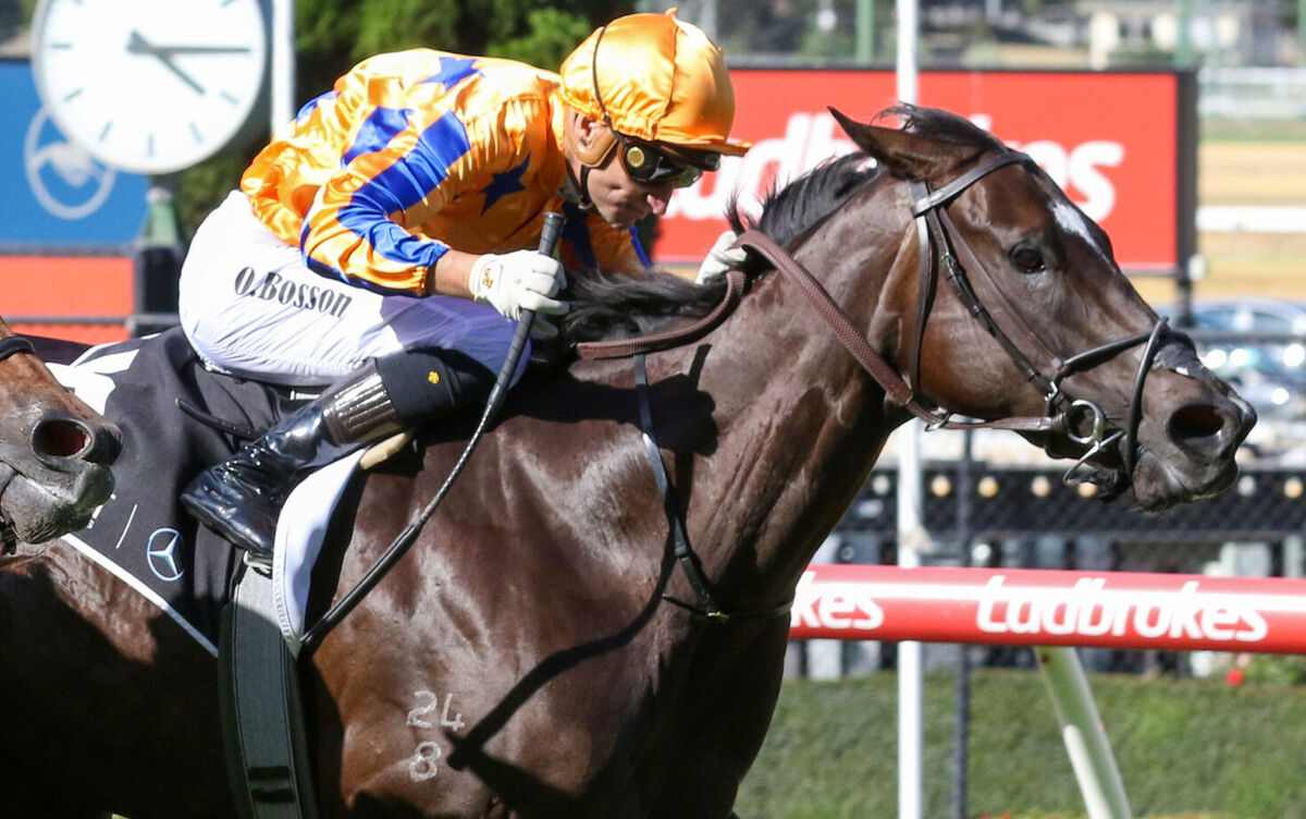 Te Akau Season - Stakes' Win 28 of 30 - Australia No.9