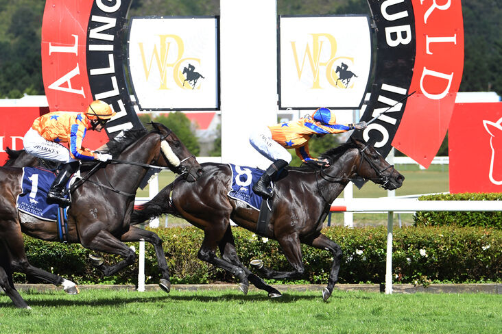 TE AKAU TV - The Final Group One Weekend