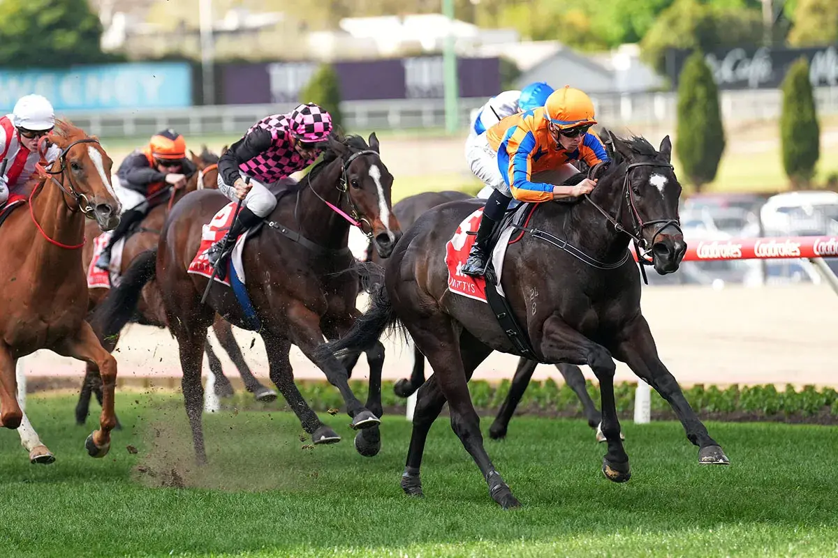Imperatriz Shoots for Four Straight